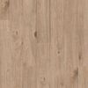 Planchers 1867 (54204328) color