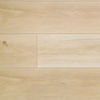 Planchers 1867 (543200508) color