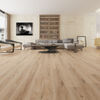 Planchers 1867 (5790140) room_scene