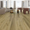 Planchers 1867 (5790160) room_scene