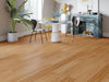 Biyork (BYKNOU7HI19DP) room_scene