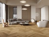 Vidar (AOSL50T3MAWBHR) room_scene
