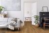 Lauzon Expert (RO030502UA) room_scene