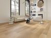 Vidar (OKMA230D) room_scene