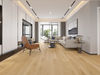 Vidar (OKMA152B) room_scene