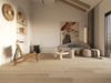 Vidar (OKNO152C) room_scene