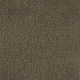 Broadloom Carpet Influencer 36-QS Warm Ashes 12' (Sold in Sqyd)