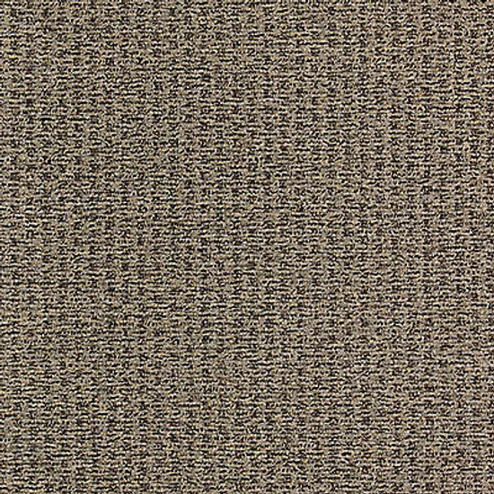 Broadloom Carpet True Form-QS Tinted Gray 12' (Sold in Sqyd)