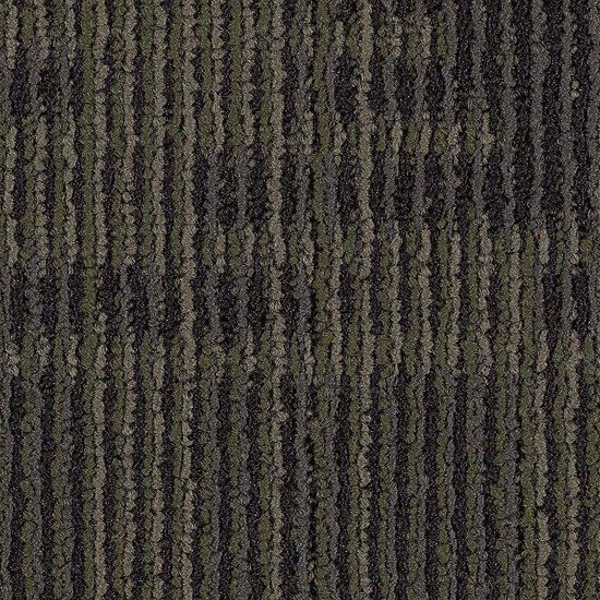 Carpet Tiles New Form Tile Charwood 24" x 24"