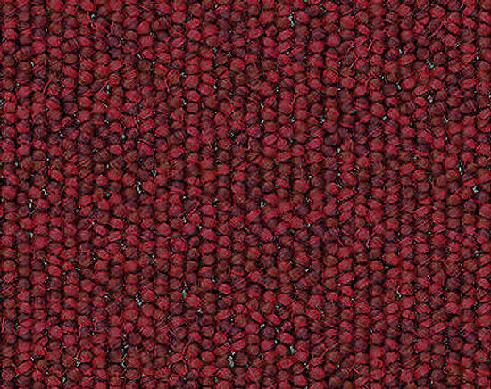 Carpet Tile Major Factor Tile Poinsettia 24" x 24"