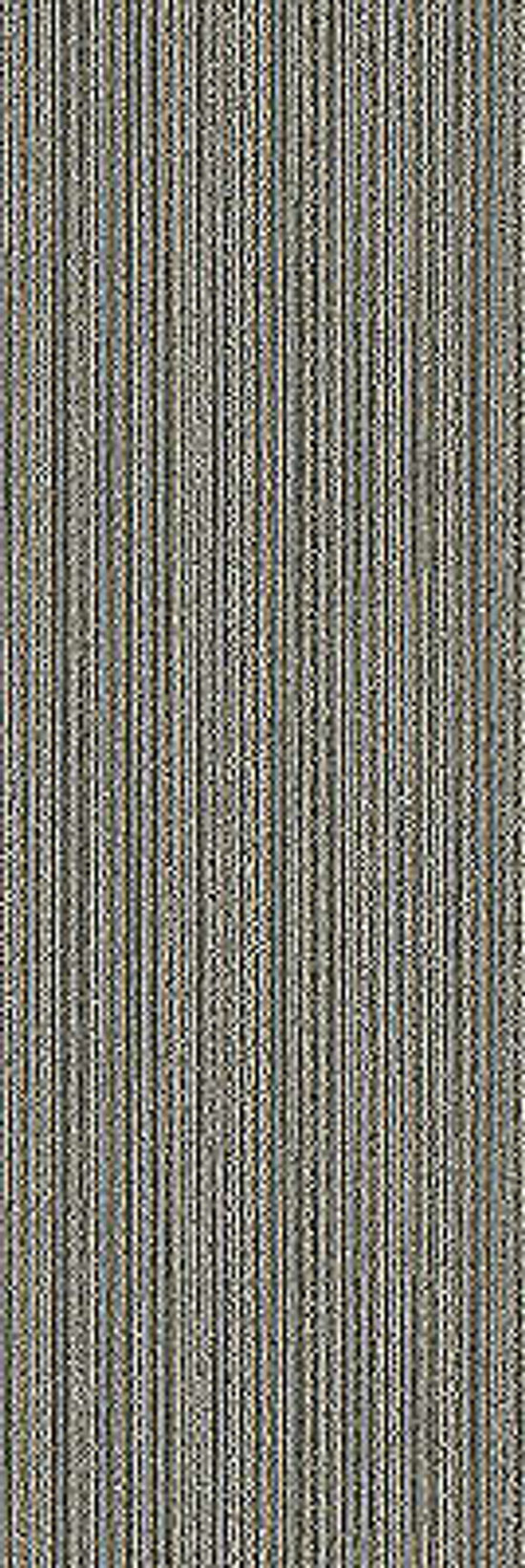Carpet Tile Complex Reasoning Enlighten 12" x 36"