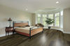 Toucan (TFSPC604-F) room_scene
