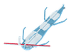 Sigma (4FN) product