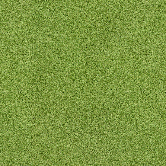 Artifical Grass Evergrass Putting Green 15' - 16 mm (Sold in Sqft)