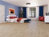 Goodfellow (721684454) room_scene