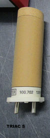 Leister (WDD-TE)