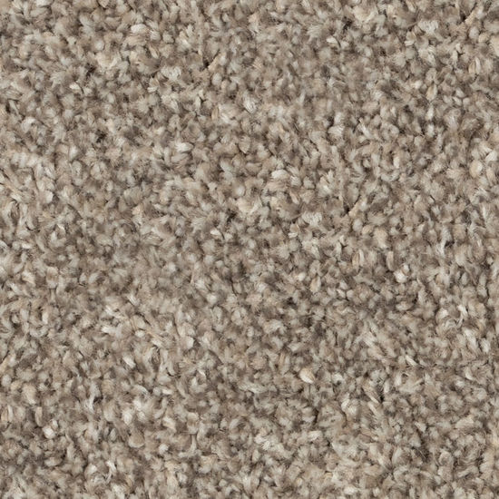 Broadloom Carpet Cosy Ambiance #76818 Legionary Grey 12' (Sold in Sqyd)