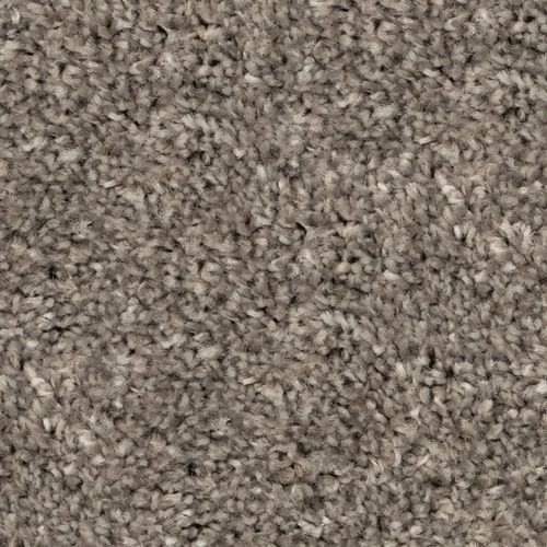 Beaulieu - Broadloom Carpet Cosy Ambiance #86535 Dragon Grey 12