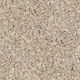 Broadloom Carpet Cosy Ambiance #13238 Democracy 12' (Sold in Sqyd)