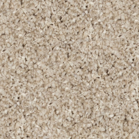 Broadloom Carpet Cosy Ambiance #13238 Democracy 12' (Sold in Sqyd)