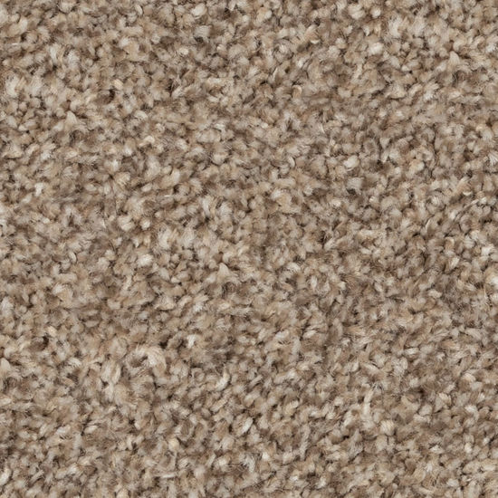 Broadloom Carpet Cosy Ambiance #76838 Cabriolet Brown 12' (Sold in Sqyd)