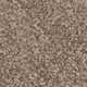 Broadloom Carpet Cosy Ambiance #77062 Coconut Brown 12' (Sold in Sqyd)