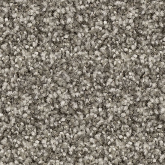 Broadloom Carpet Epitome Sycamore Grey 12' (Sold in Sqyd)
