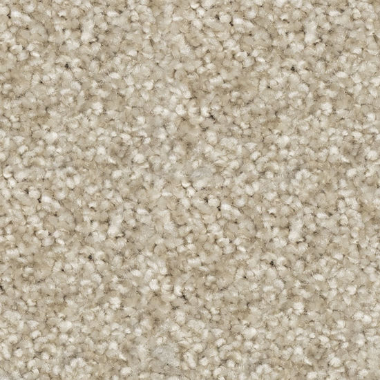 Broadloom Carpet Epitome Warm Grey 12' (Sold in Sqyd)