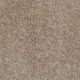 Broadloom Carpet Spartacus Mystic Beige 12' (Sold in Sqyd)
