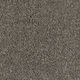 Broadloom Carpet Spartacus Morning Light 12' (Sold in Sqyd)