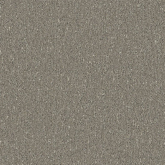 Broadloom Carpet Spiderweb Sparrow Grey 12' (Sold in Sqyd)