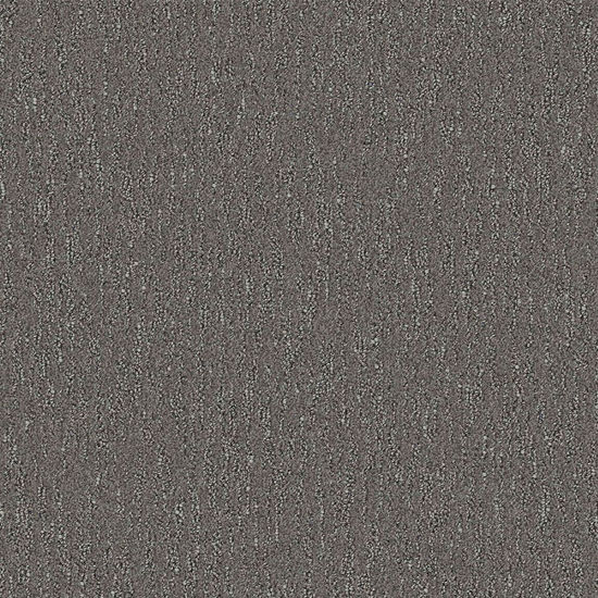 Broadloom Carpet Spiderweb Grey Wall 12' (Sold in Sqyd)