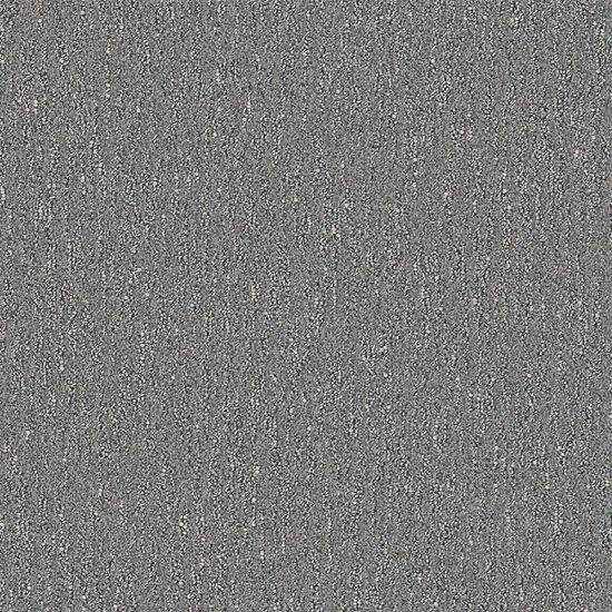 Broadloom Carpet Spiderweb Smoke Grey 12' (Sold in Sqyd)