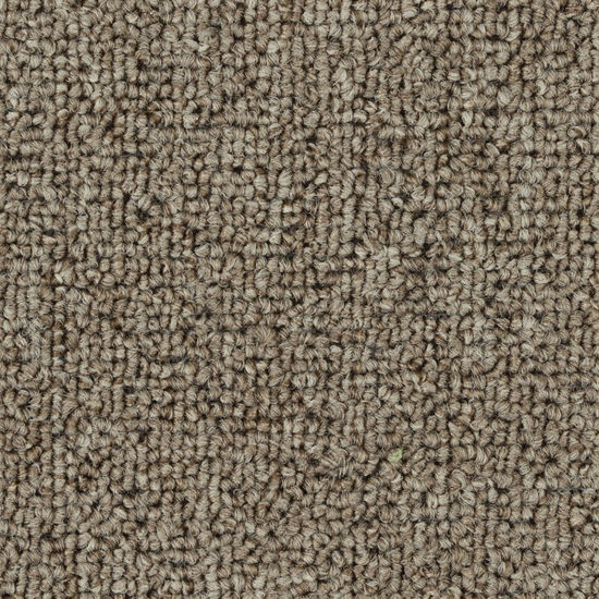 Broadloom Carpet Invasion IV 20 Light Coffee 12' (Sold in Sqyd)