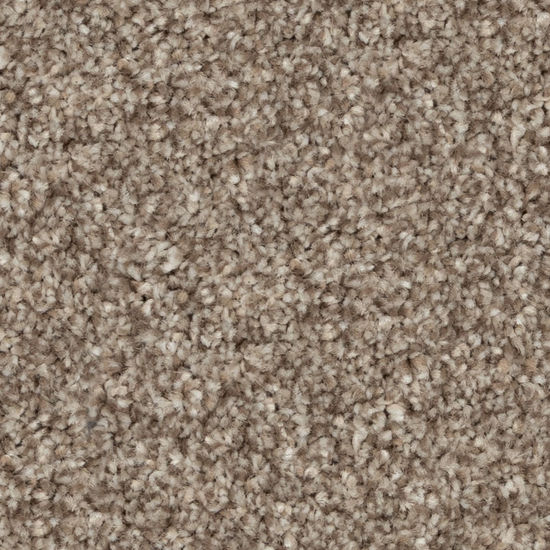 Broadloom Carpet Calm Ambiance Coconut Brown 12' (Sold in Sqyd)