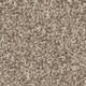 Broadloom Carpet Calm Ambiance Sand Martin 12' (Sold in Sqyd)