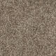 Broadloom Carpet Webster Velvety Bistre 12' (Sold in Sqyd)