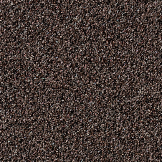 Broadloom Carpet Supplement II 28 Olive Grove 12' (Sold in Sqyd)