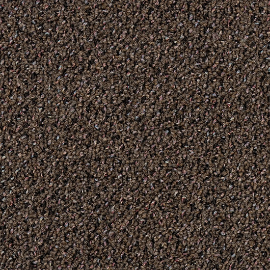 Broadloom Carpet Supplement II 28 Oriental Coffee 12' (Sold in Sqyd)
