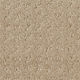 Broadloom Carpet Costa Concordia II Gardenia Beige 12' (Sold in Sqyd)