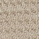 Broadloom Carpet Sultana II Tender Taupe 12' (Sold in Sqyd)
