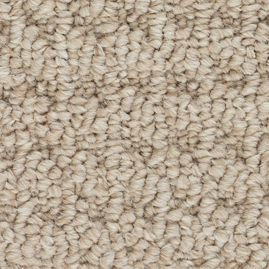 Broadloom Carpet Sultana II Tender Taupe 12' (Sold in Sqyd)