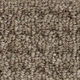 Broadloom Carpet Sultana II Bistre Brown 12' (Sold in Sqyd)