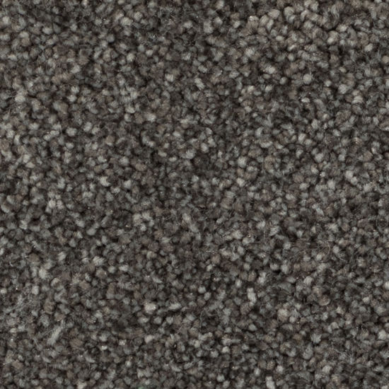 Broadloom Carpet Calm Haven Downtown Brown 12' (Sold in Sqyd)