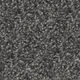 Broadloom Carpet Prodigy Tuxedo 12' (Sold in Sqyd)