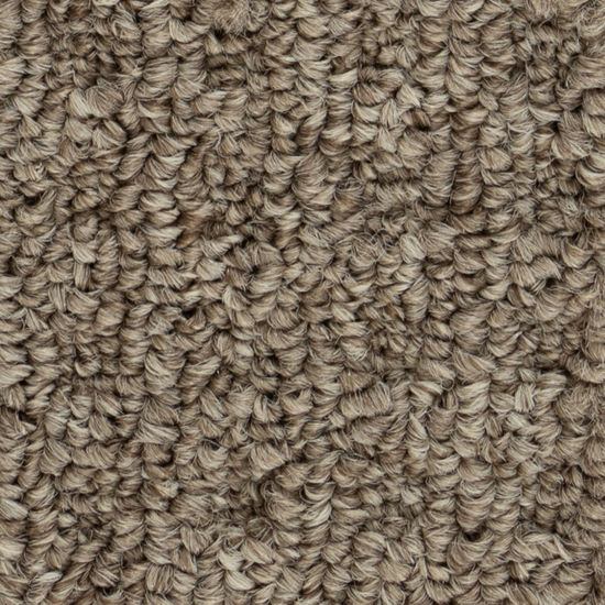 Broadloom Carpet Boloria II Bistre Brown 12' (Sold in Sqyd)