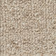 Broadloom Carpet Boloria II Tender Taupe 12' (Sold in Sqyd)