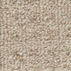 Broadloom Carpet Boloria II Tender Taupe 12' (Sold in Sqyd)