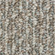 Broadloom Carpet Photo Shoot Velvety Clay 12' (Sold in Sqyd)