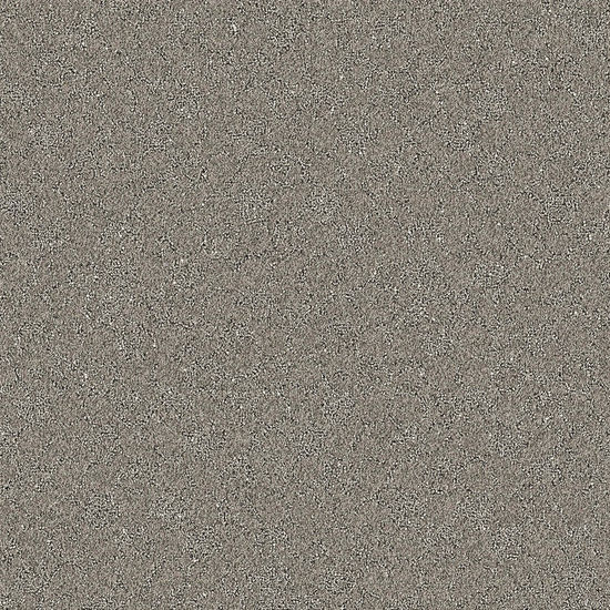 Broadloom Carpet Cloudscape Sparrow Grey 12' (Sold in Sqyd)
